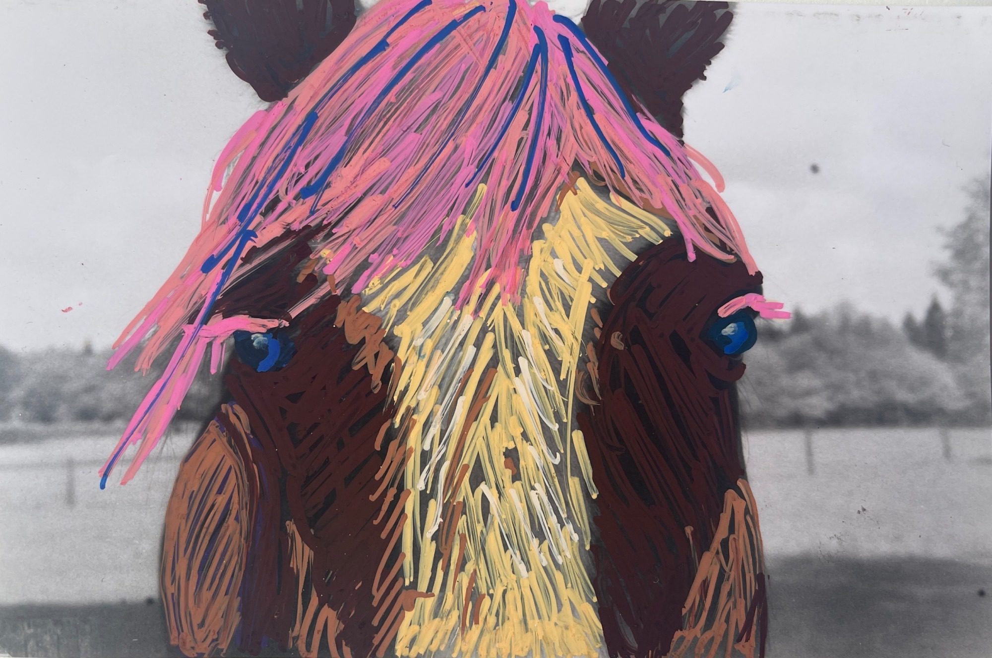 Pony with colourful hair in a field. Posca on black & white photograph