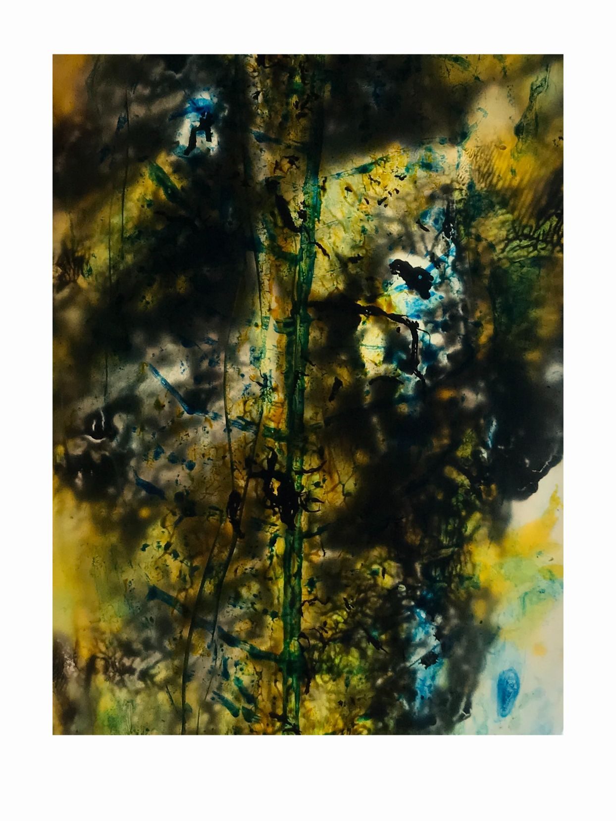 close up photography of multi layer of stamped leaf acrylic, photographed with backlight