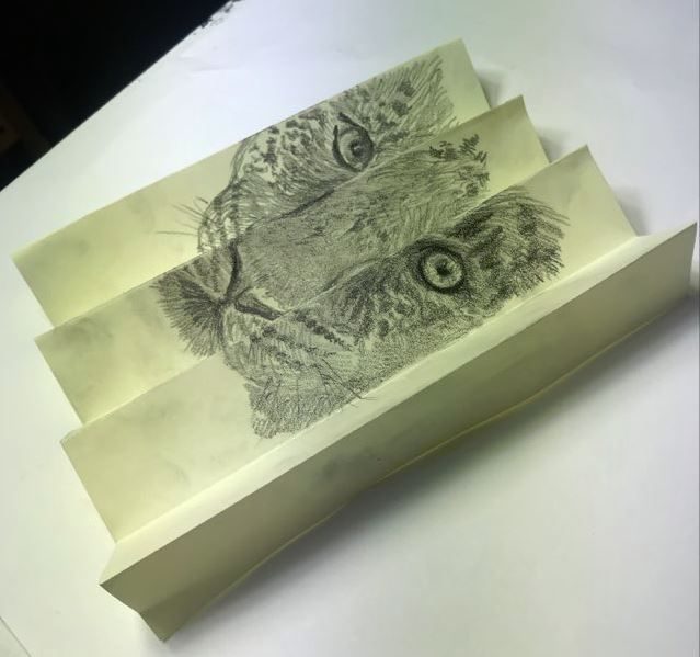 Folded paper with illustration
