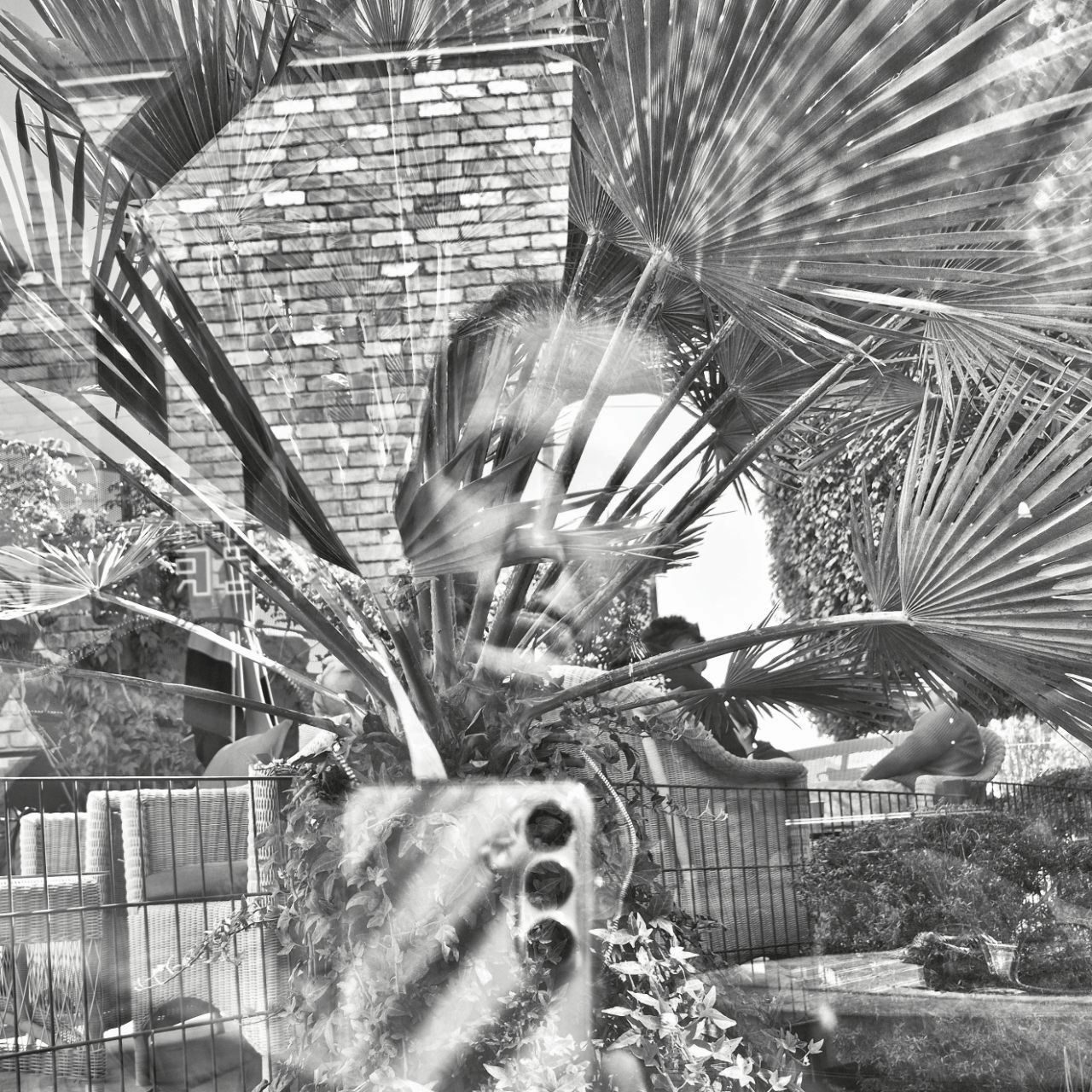 self-portrait - reflection