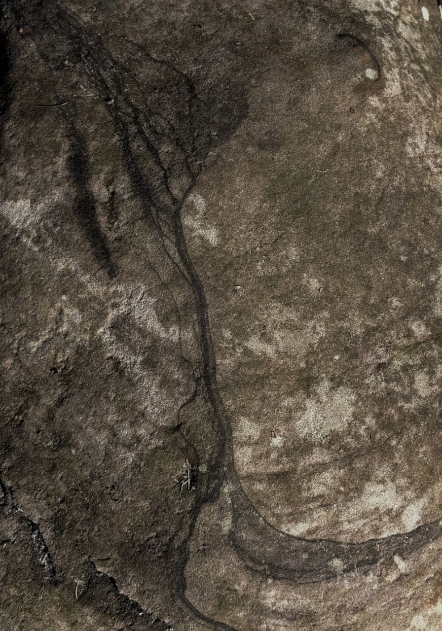 Black lines in sandstone