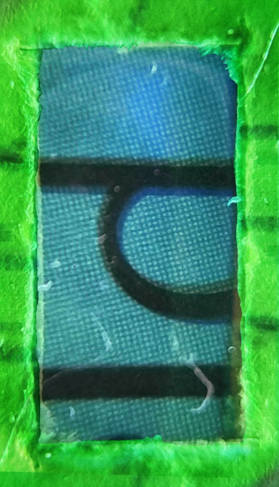 Digital collage, 2 by 1 portrait format, parts on the letters 