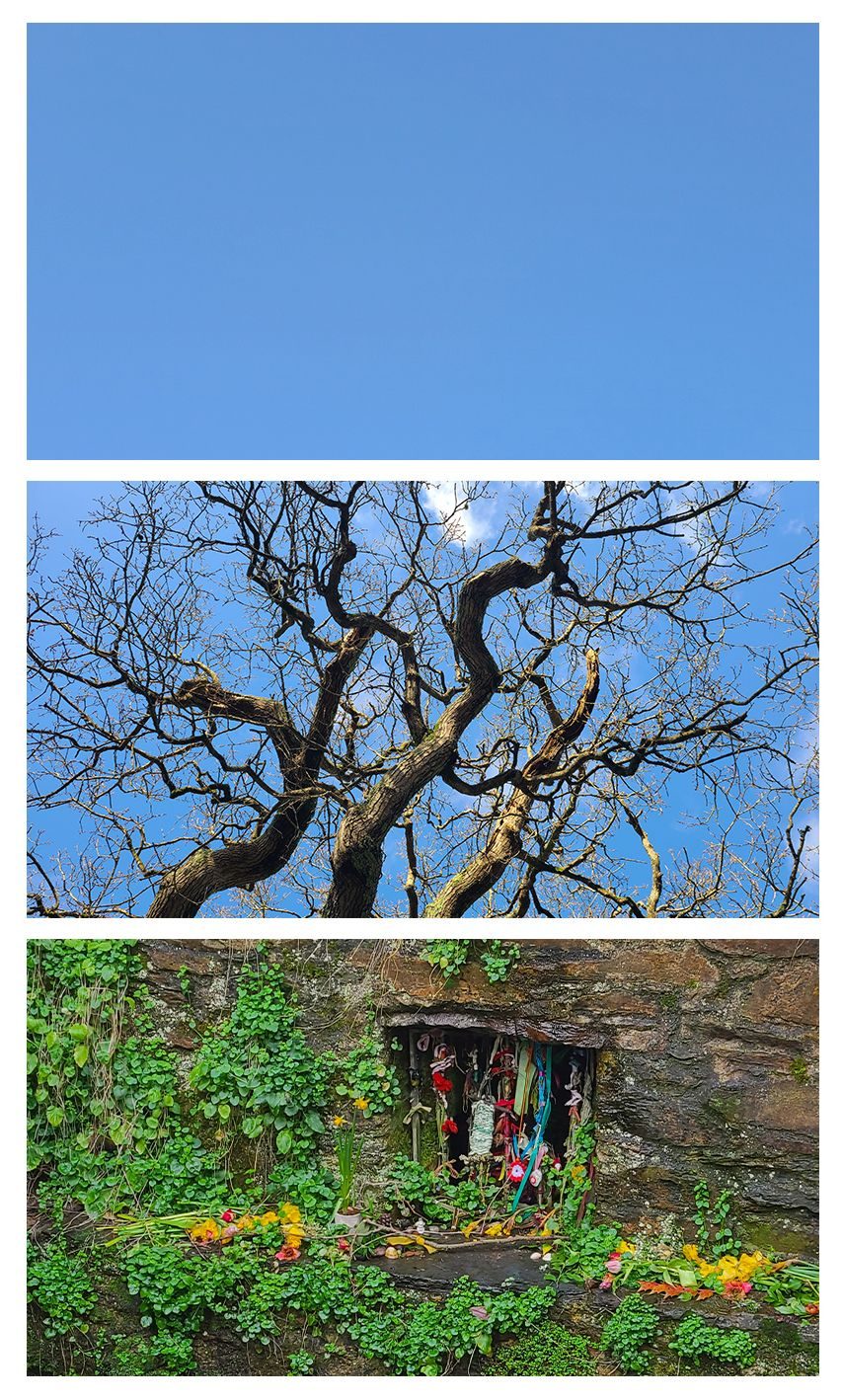 a trio of photos, the top one is clear blue sky, the second is blue sky through bare tree branches, the third is a well surrounded by offerings of ribbons and spring flowers