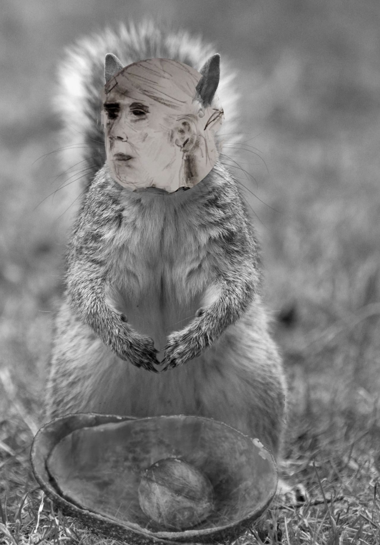 sketch of head and squirell