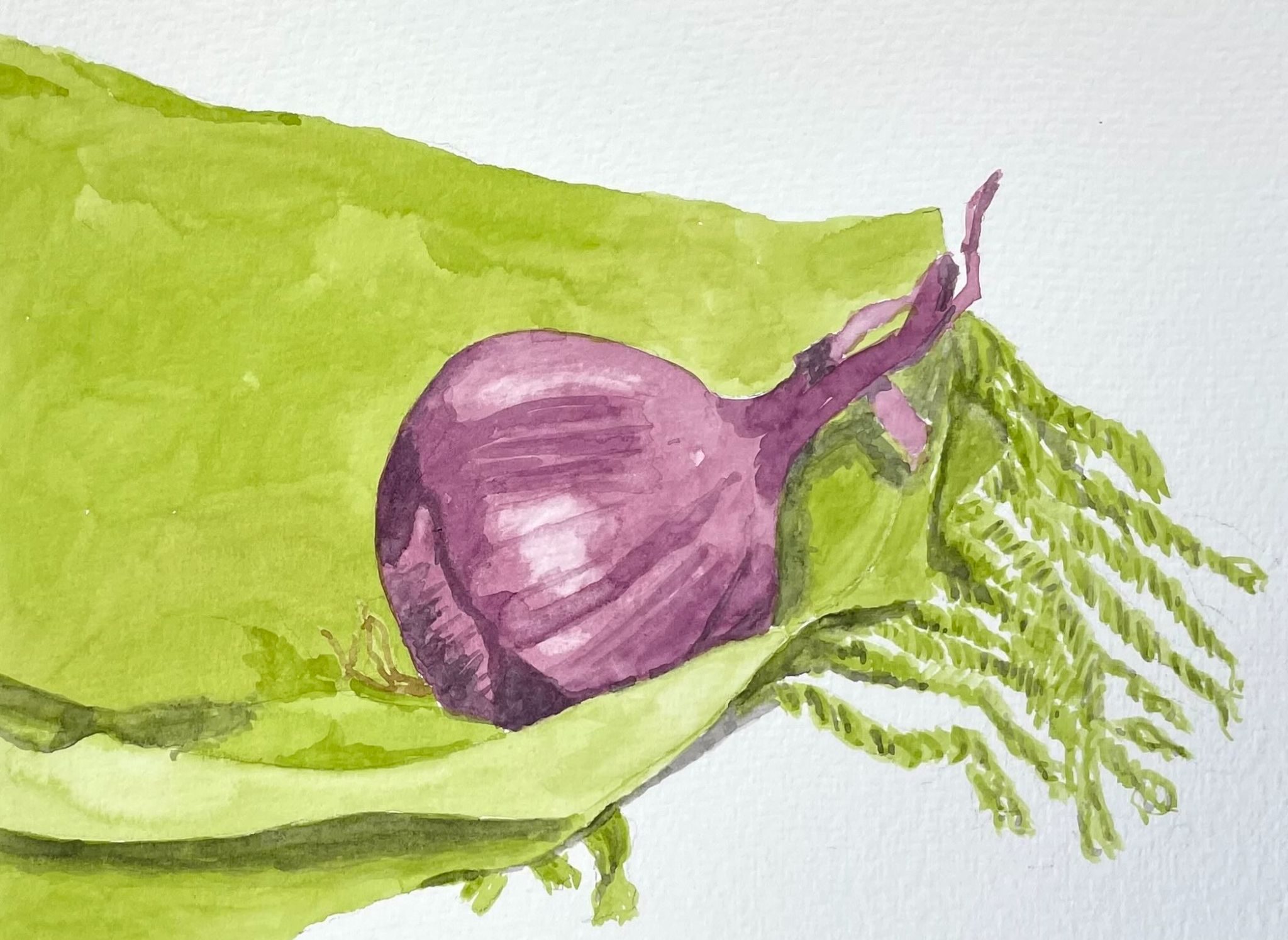 Watercolour sketch of a red onion on a green scarf