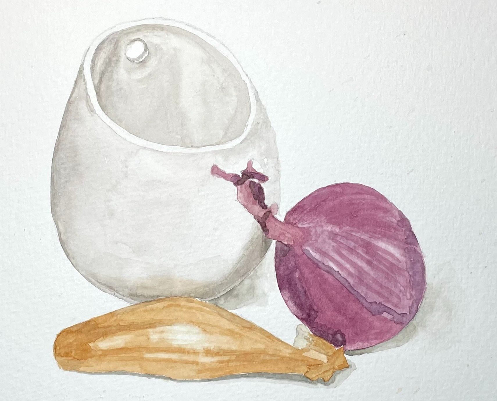 Watercolour sketch of a white ceramic pot, a red onion and a banana shallot