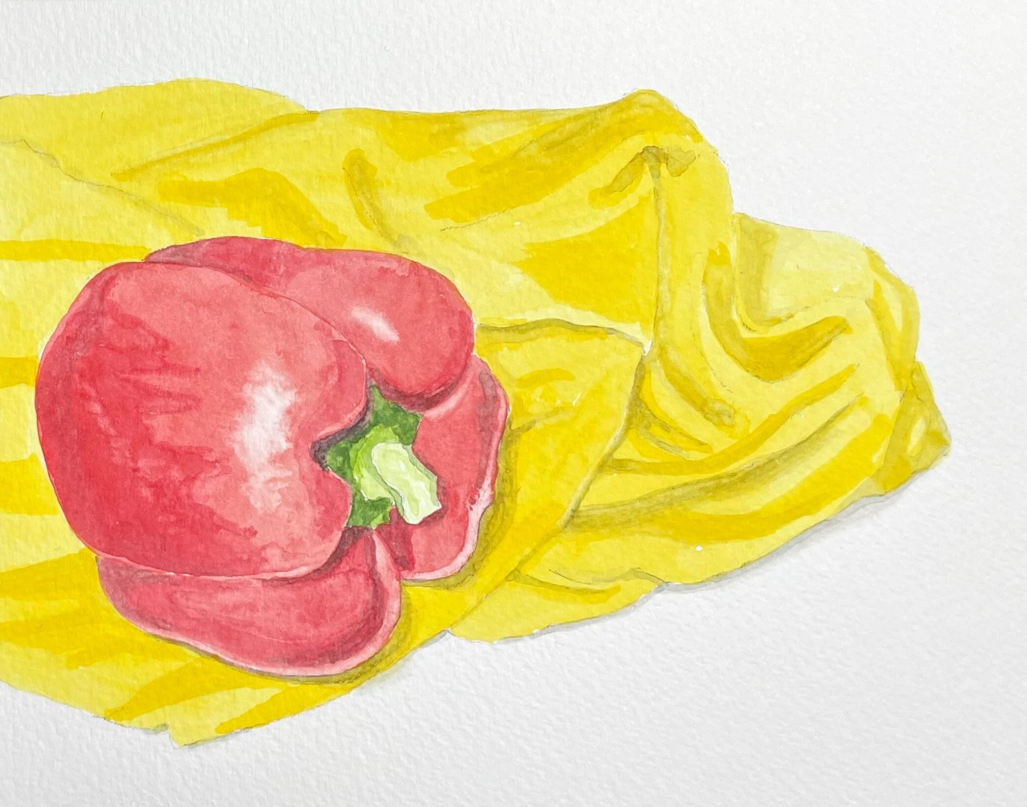 Watercolour sketch of a red pepper and yellow fabric