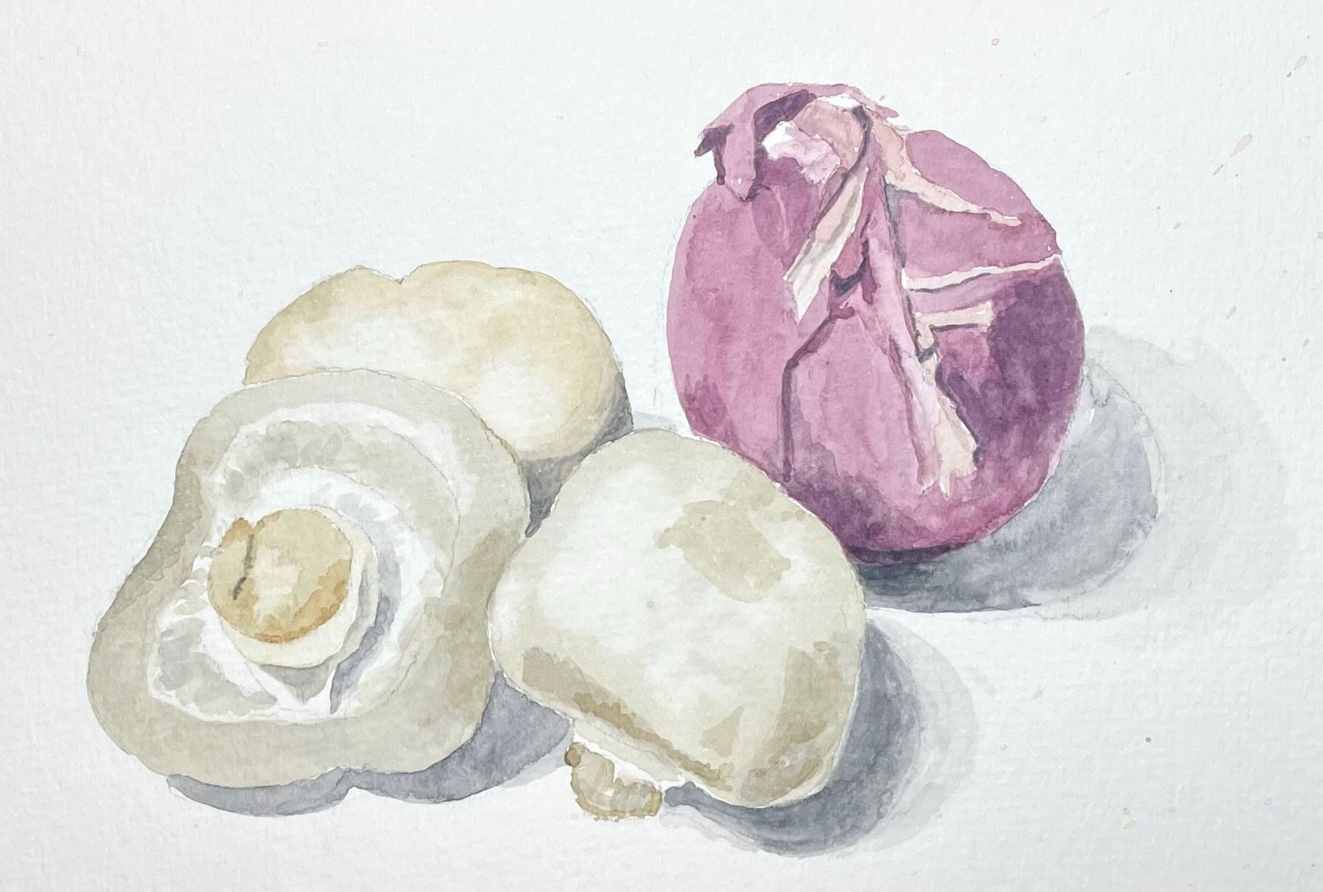Watercolour sketch of a red onion and three white mushrooms