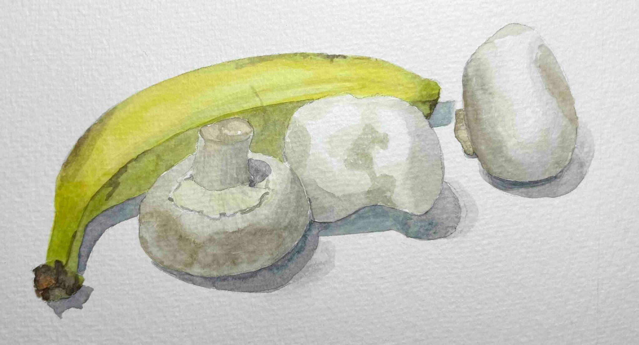 Watercolour sketch of a banana and three white mushrooms