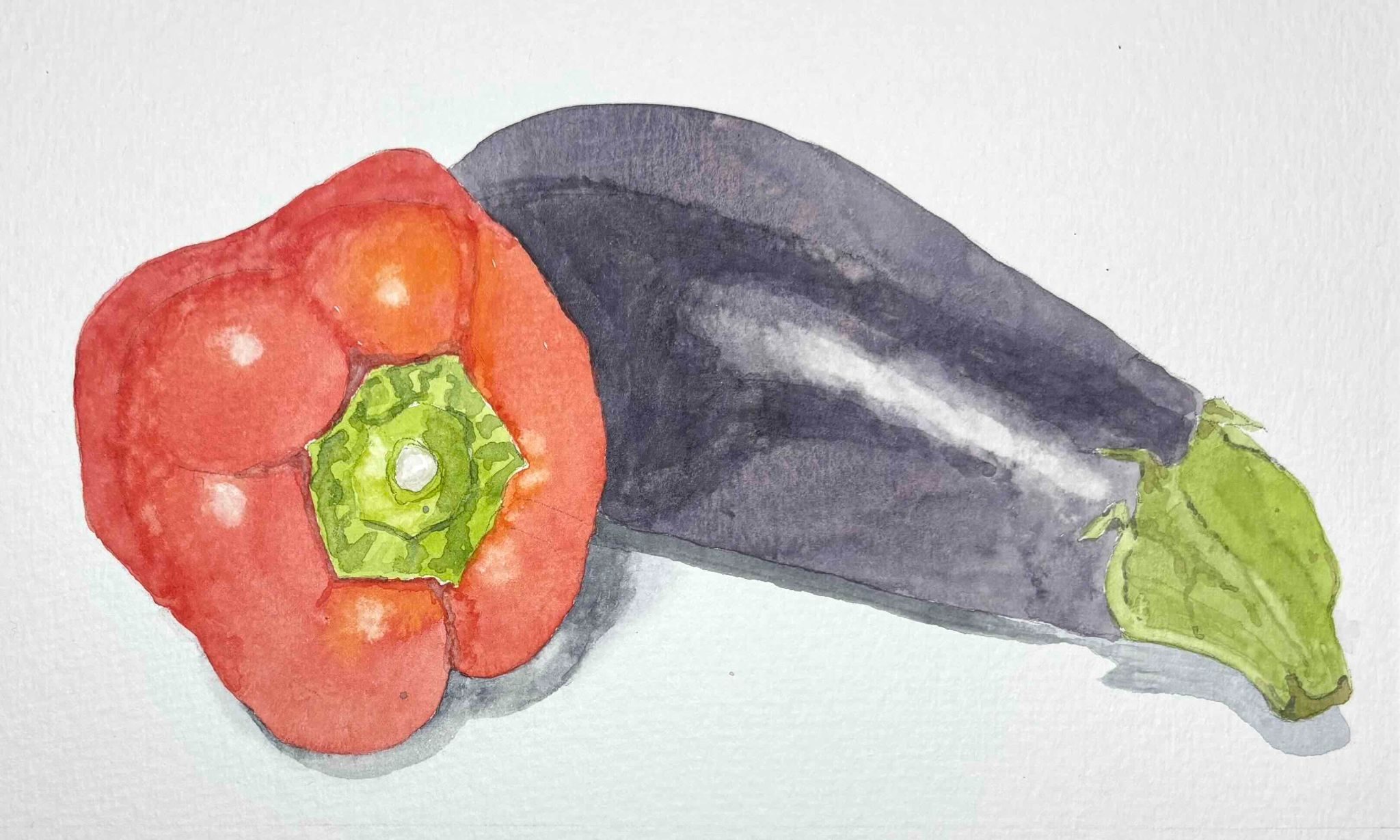 Watercolour sketch of an aubergine and a red pepper
