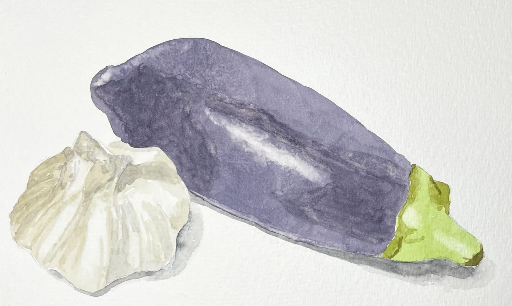 Watercolour sketch of an aubergine and a garlic bulb