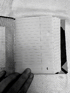 A very low quality GIF showing a leafed through book