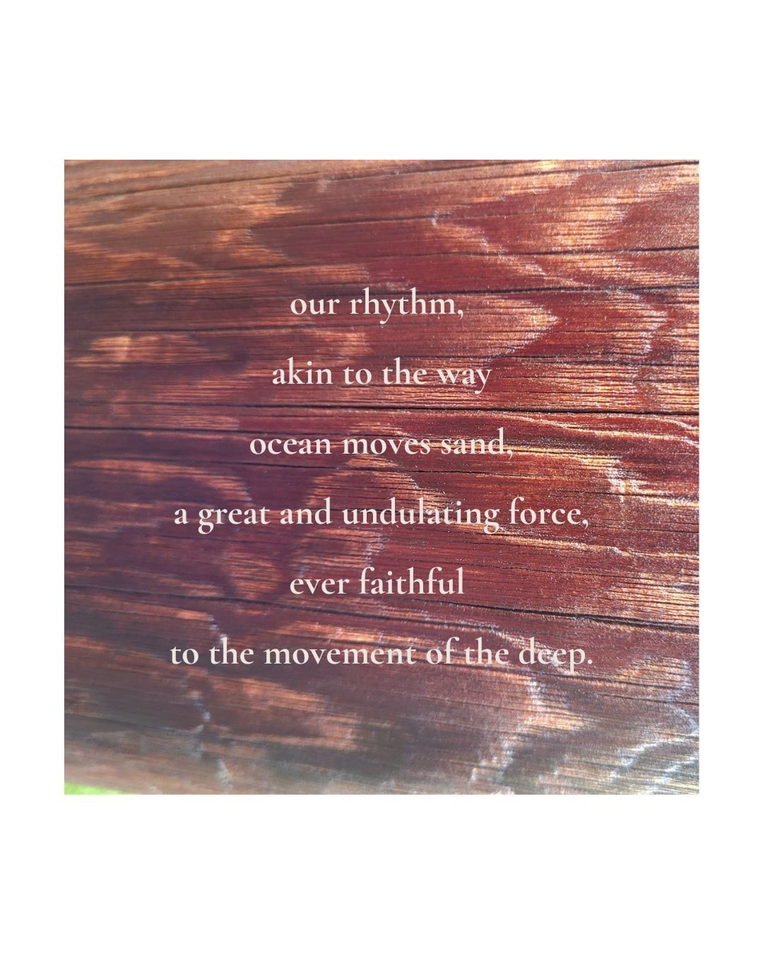 a photo of the grain in wood