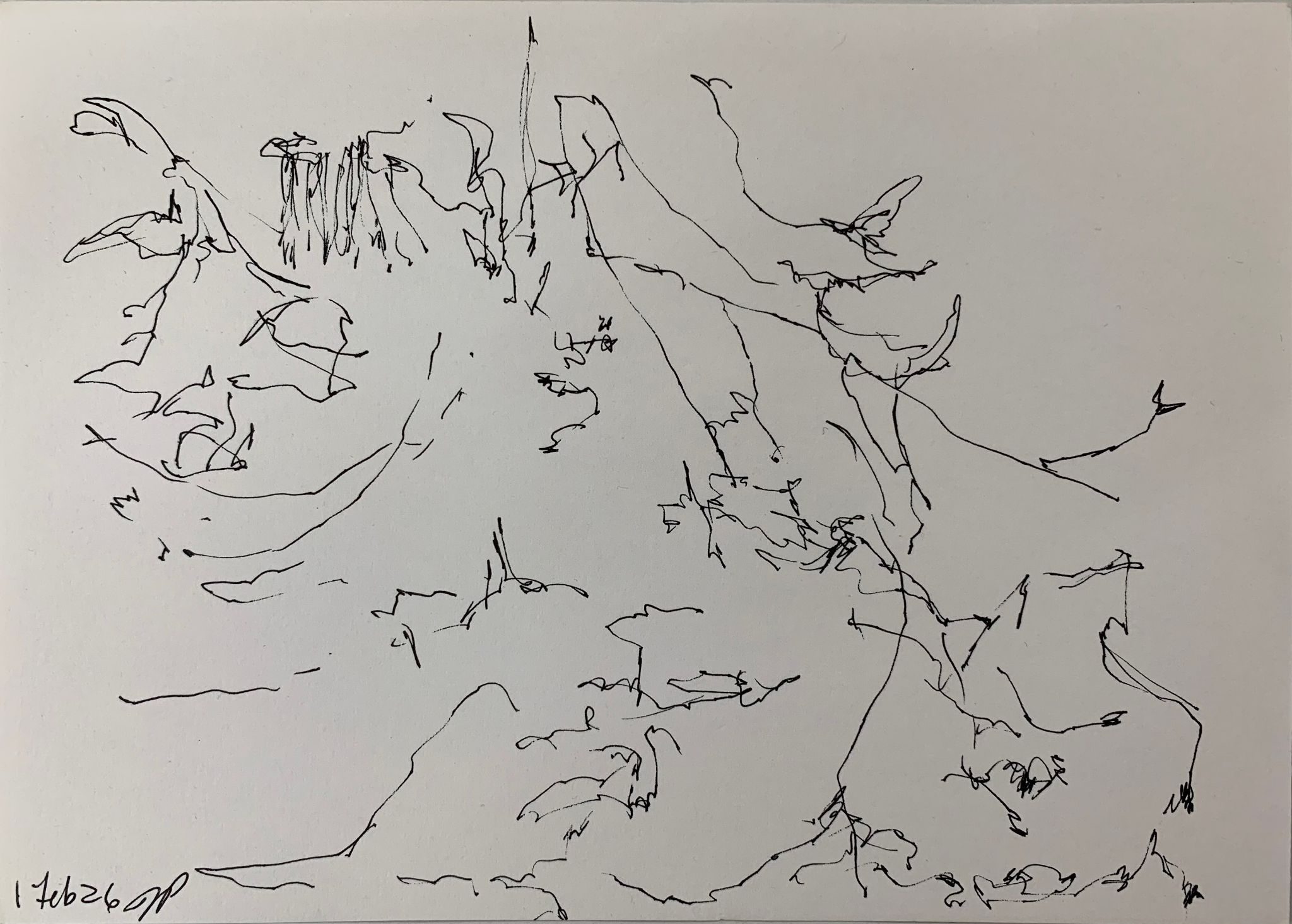 A5 landscape, ink on paper