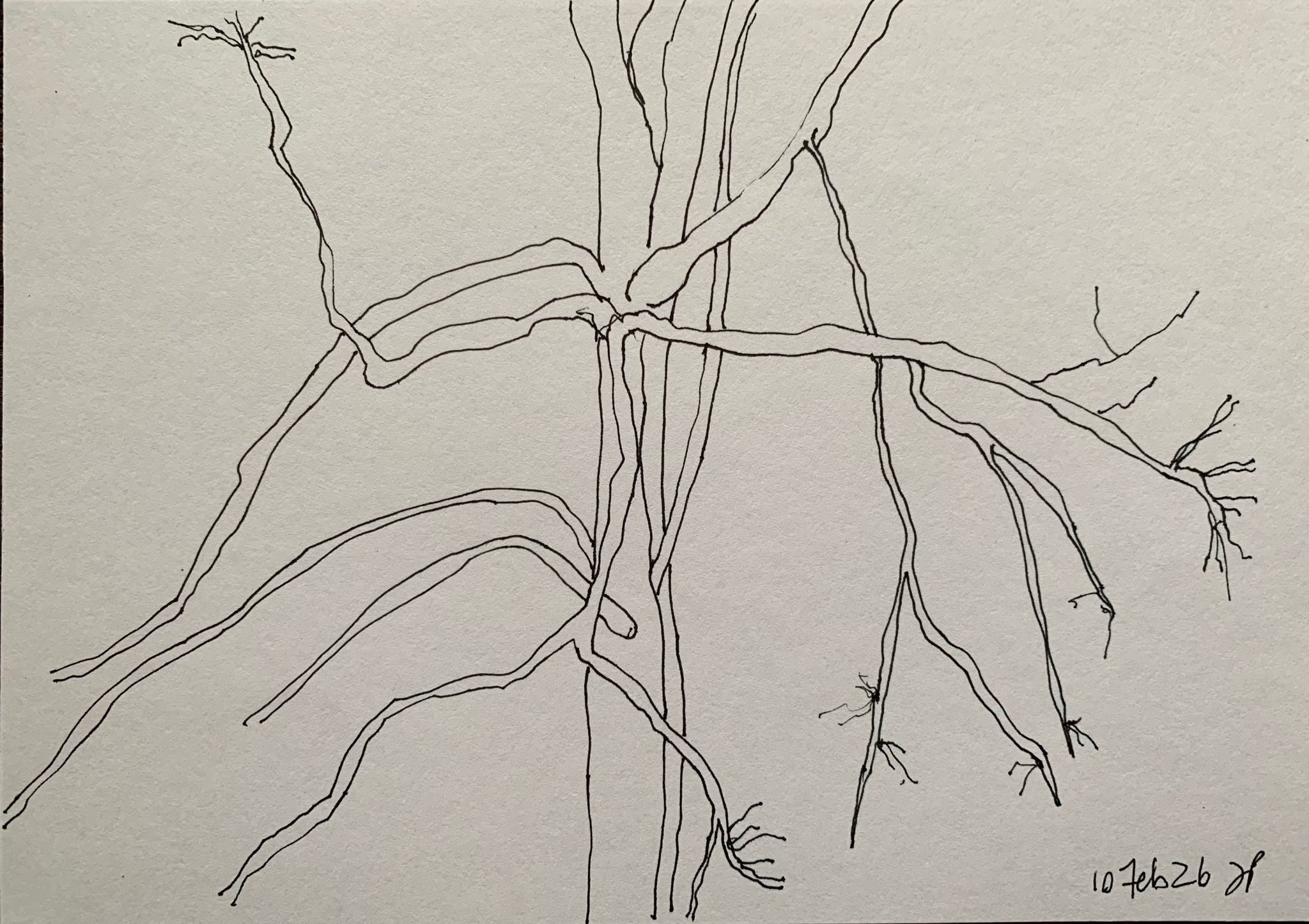 A5 landscape, ink on paper