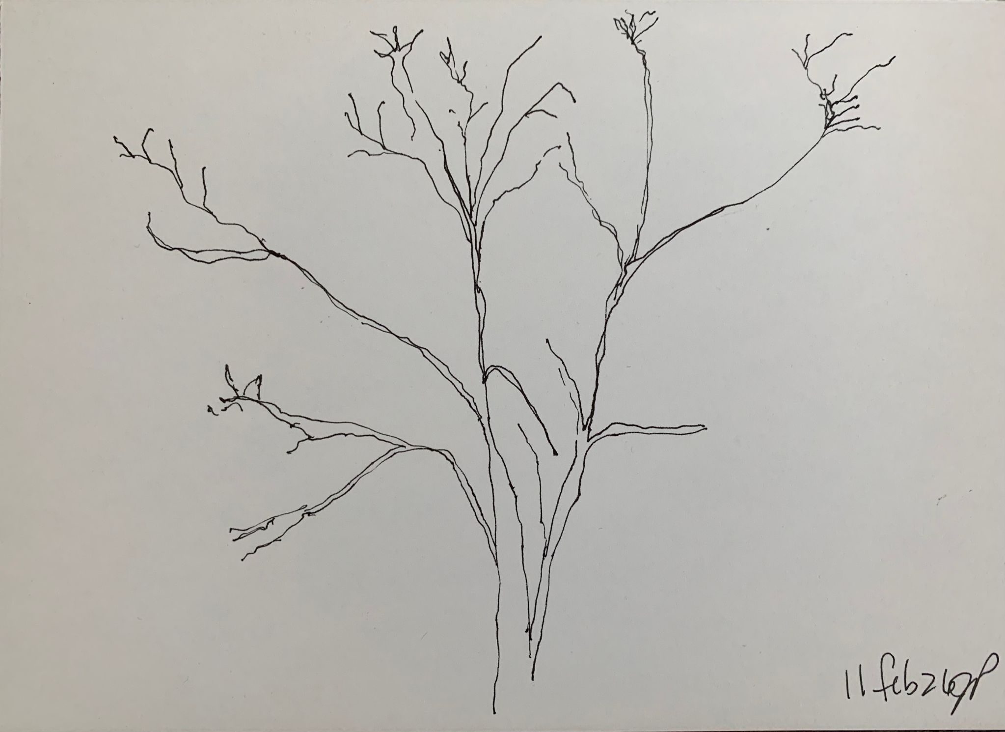 A5 landscape, ink on paper