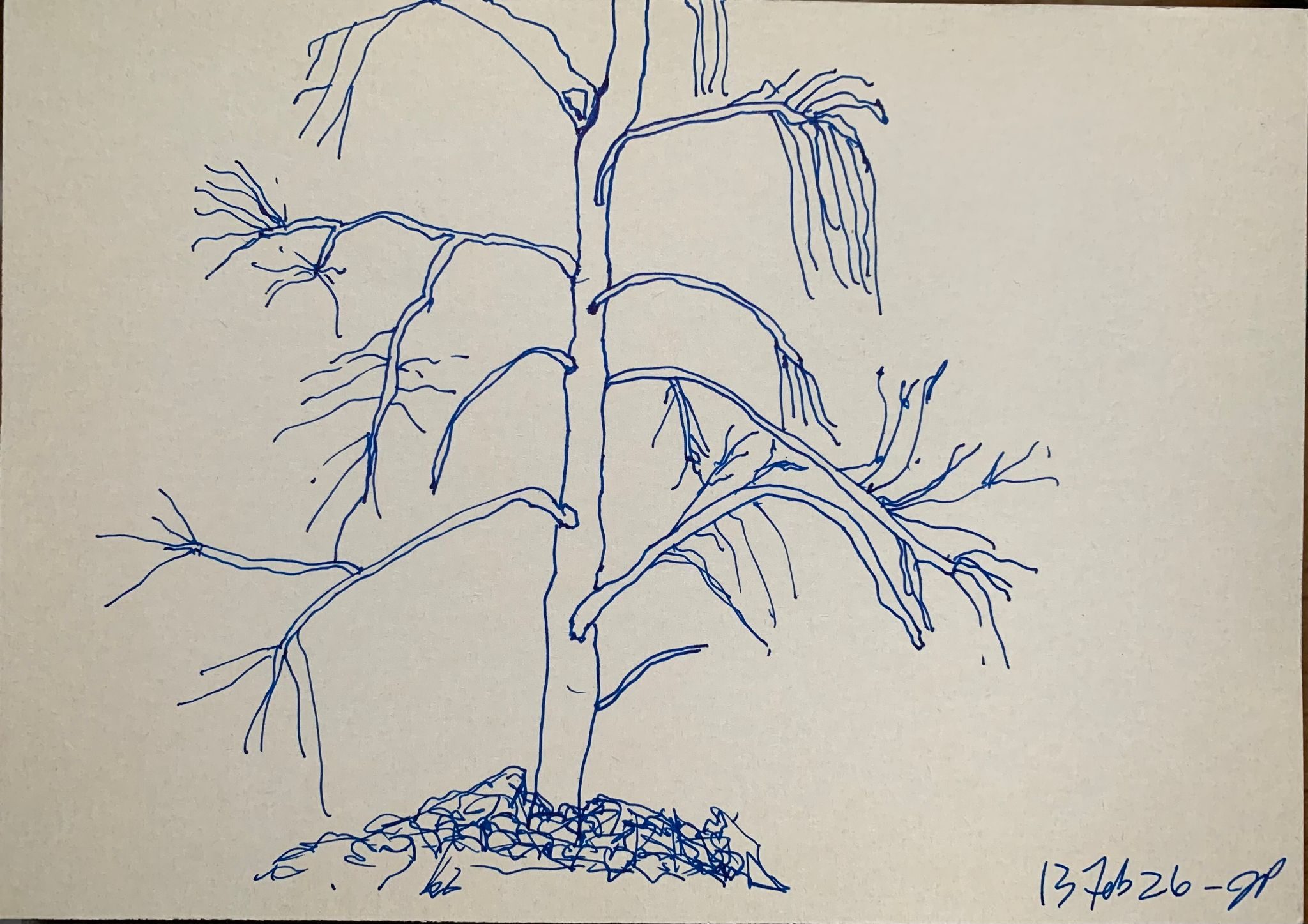 A5 landscape, ink on paper