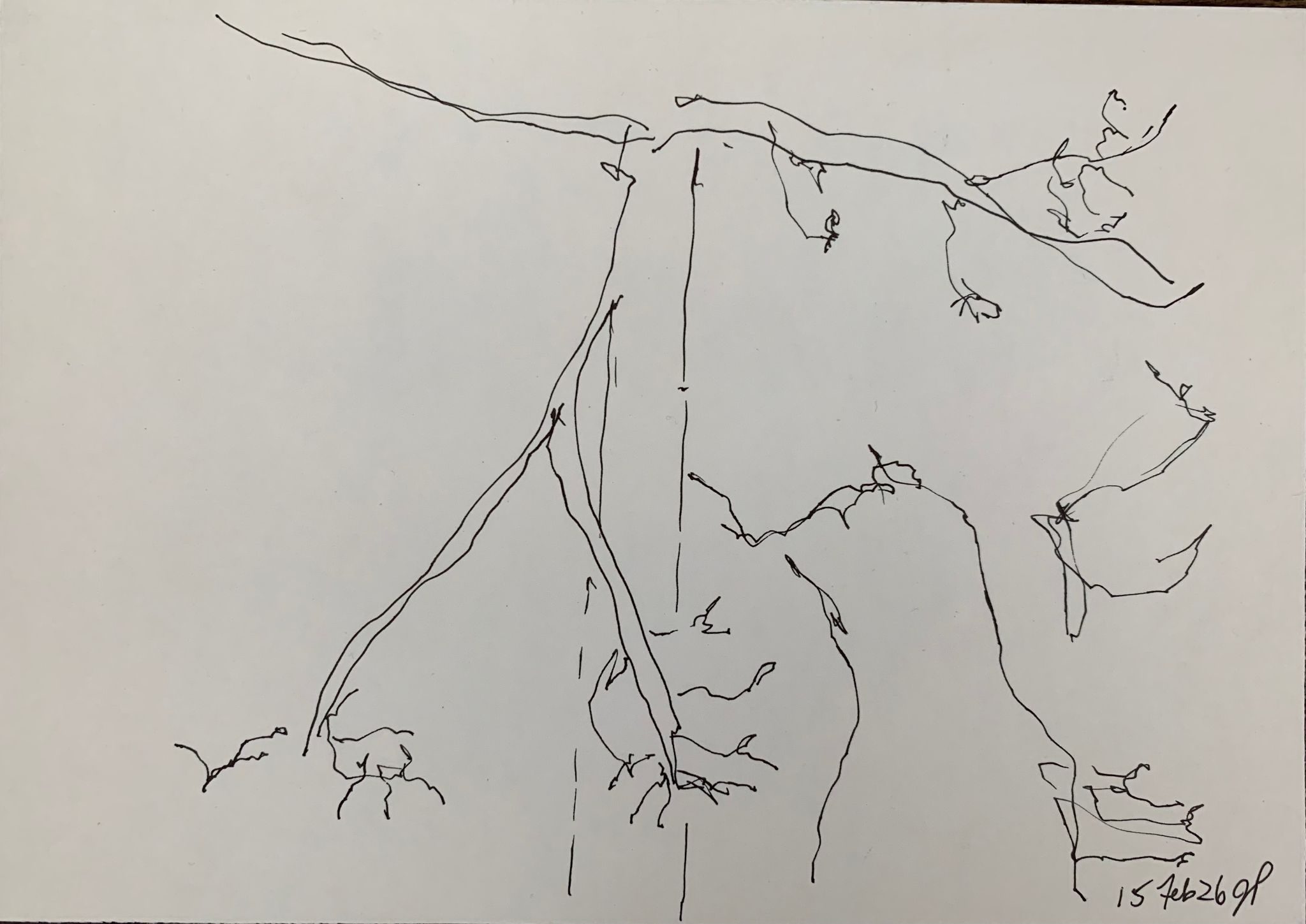 A5 landscape, ink on paper