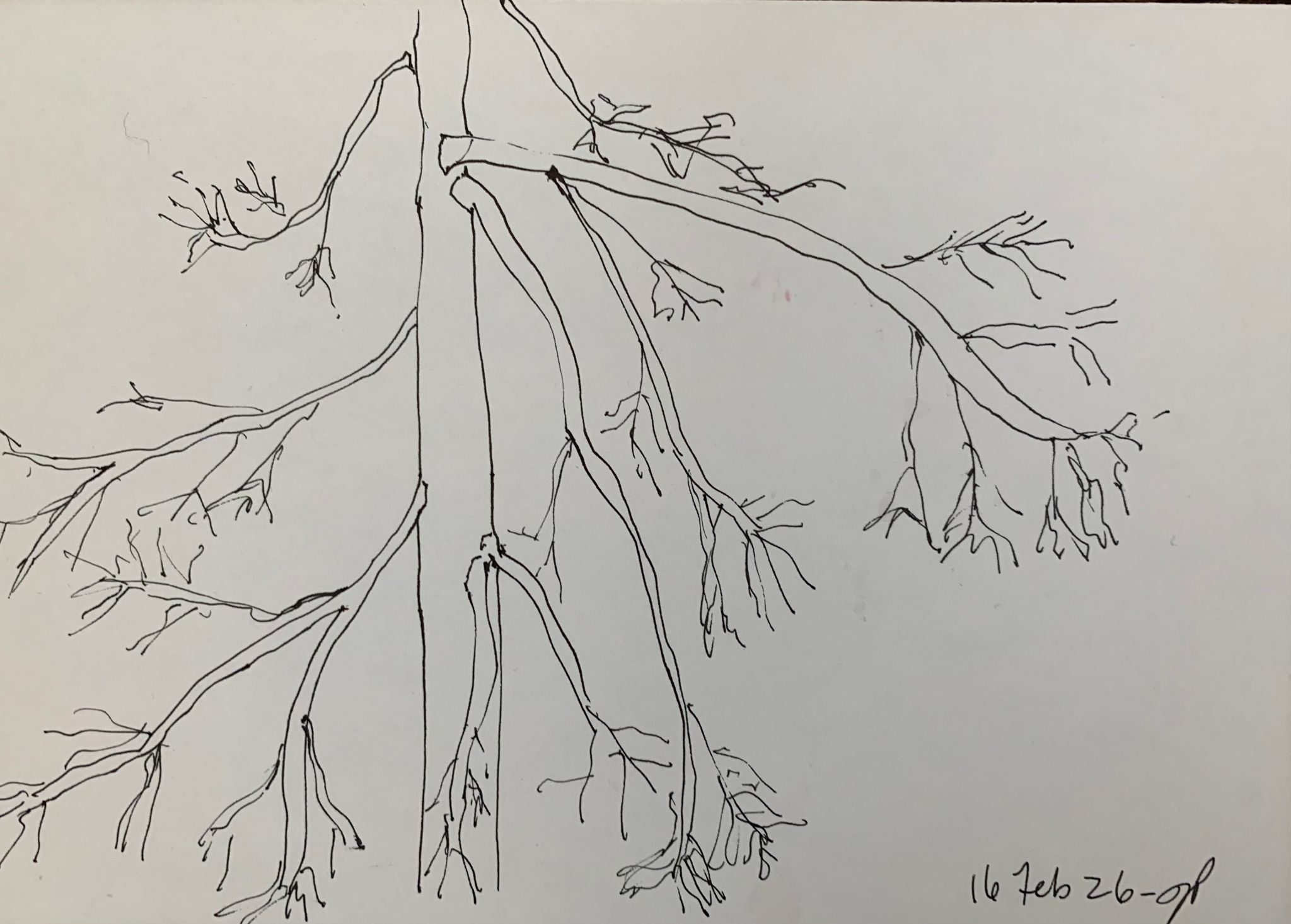 A5 landscape, ink on paper