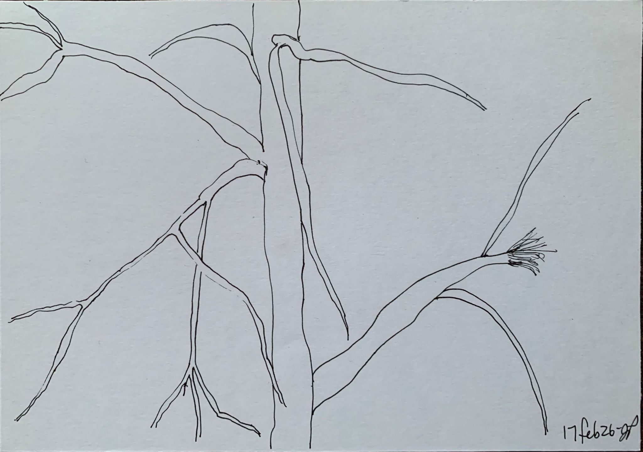 A5 landscape, ink on paper