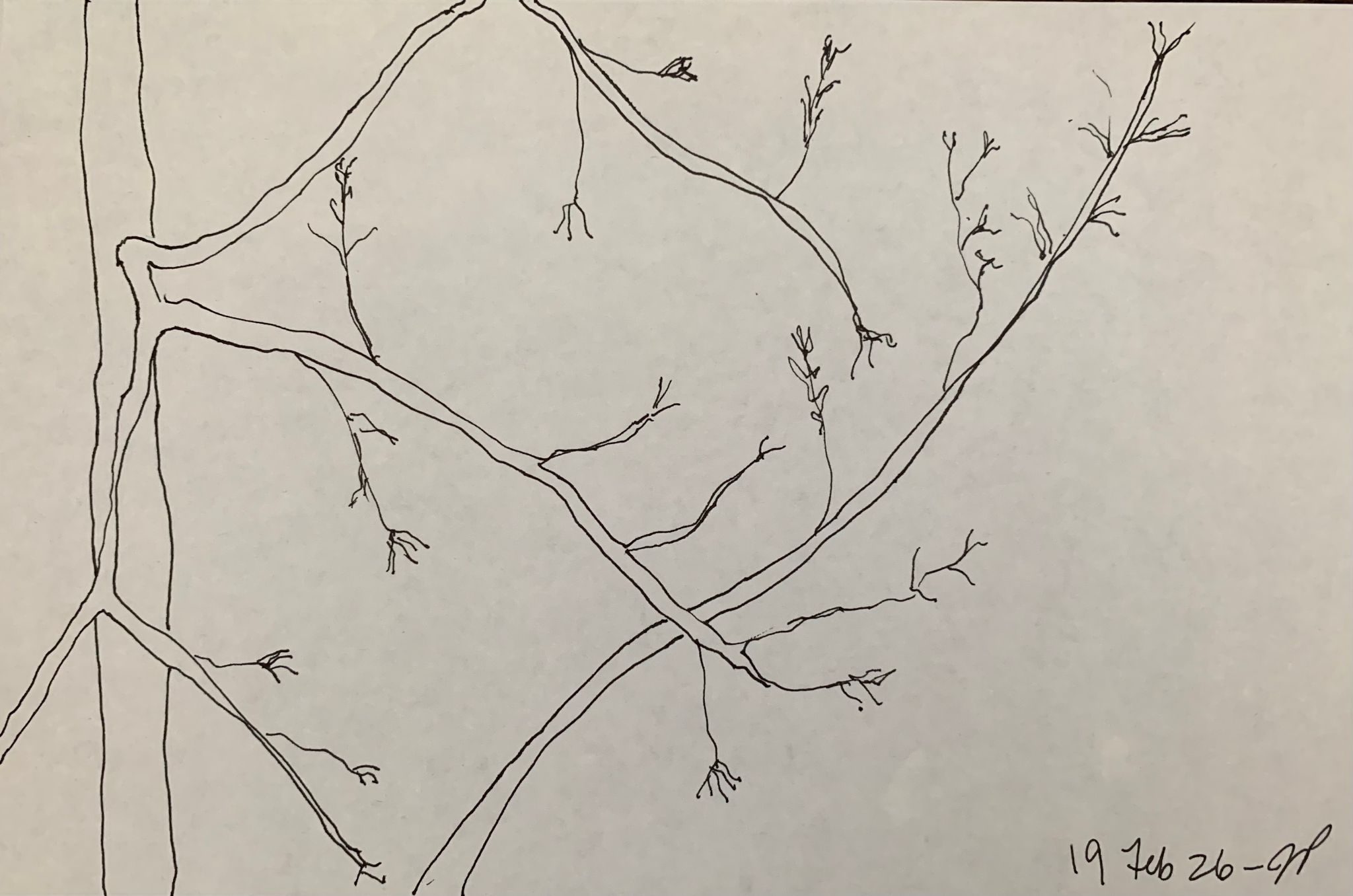 A5 landscape, ink on paper