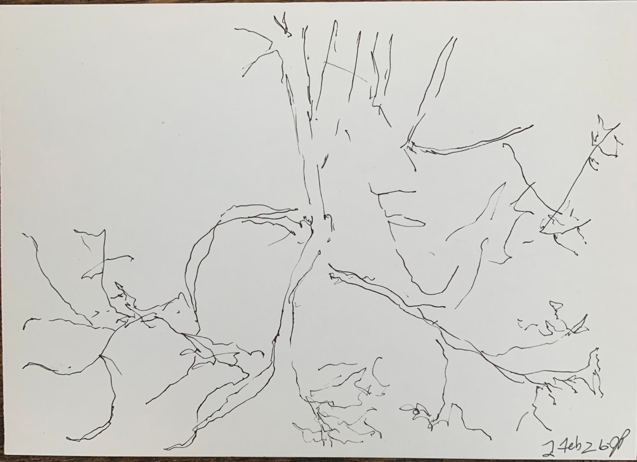 A5 landscape, ink on paper