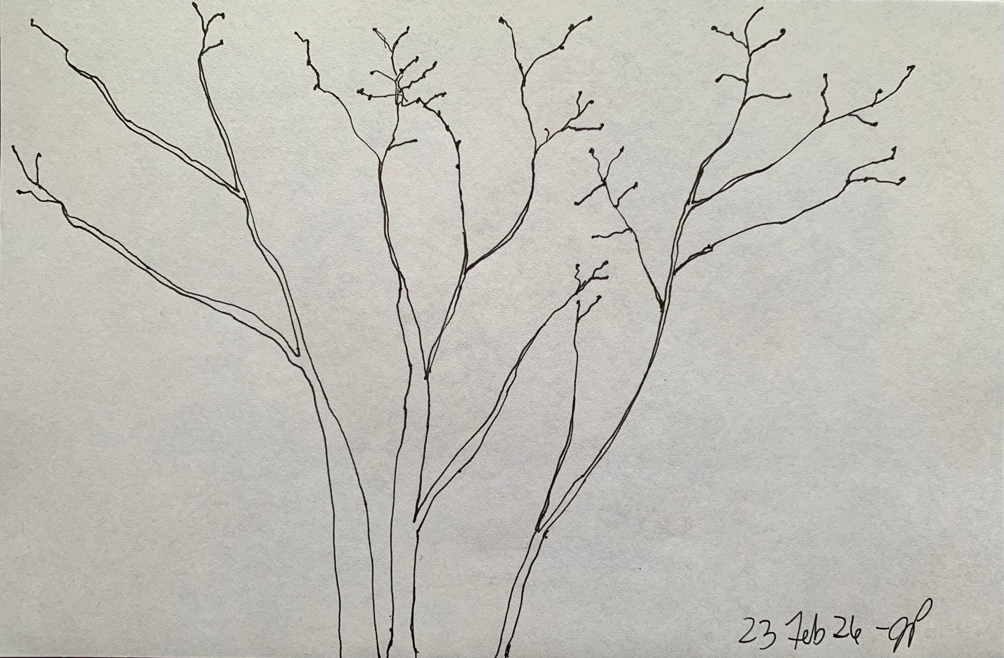 A5 landscape, ink on paper