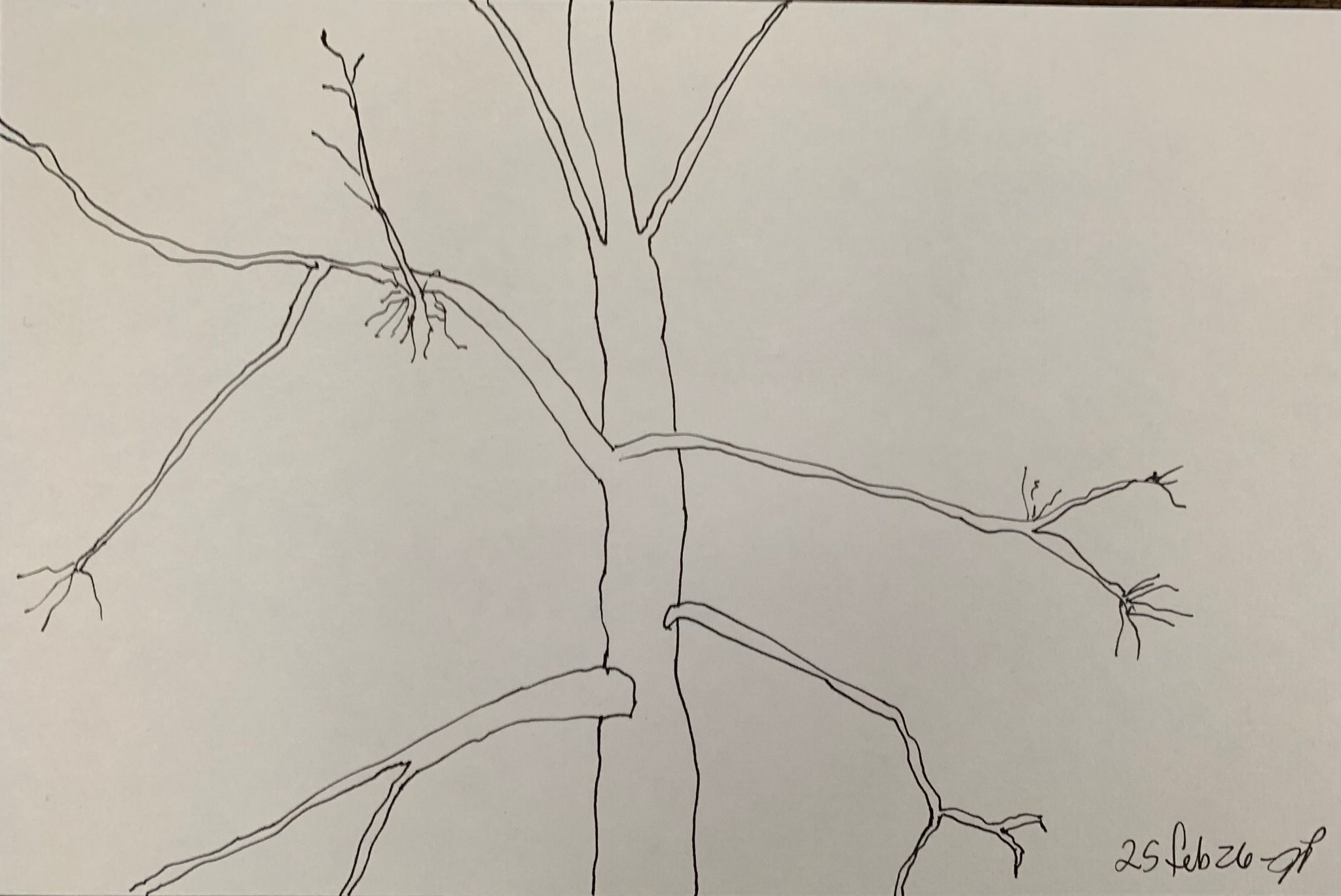 A5 landscape, ink on paper