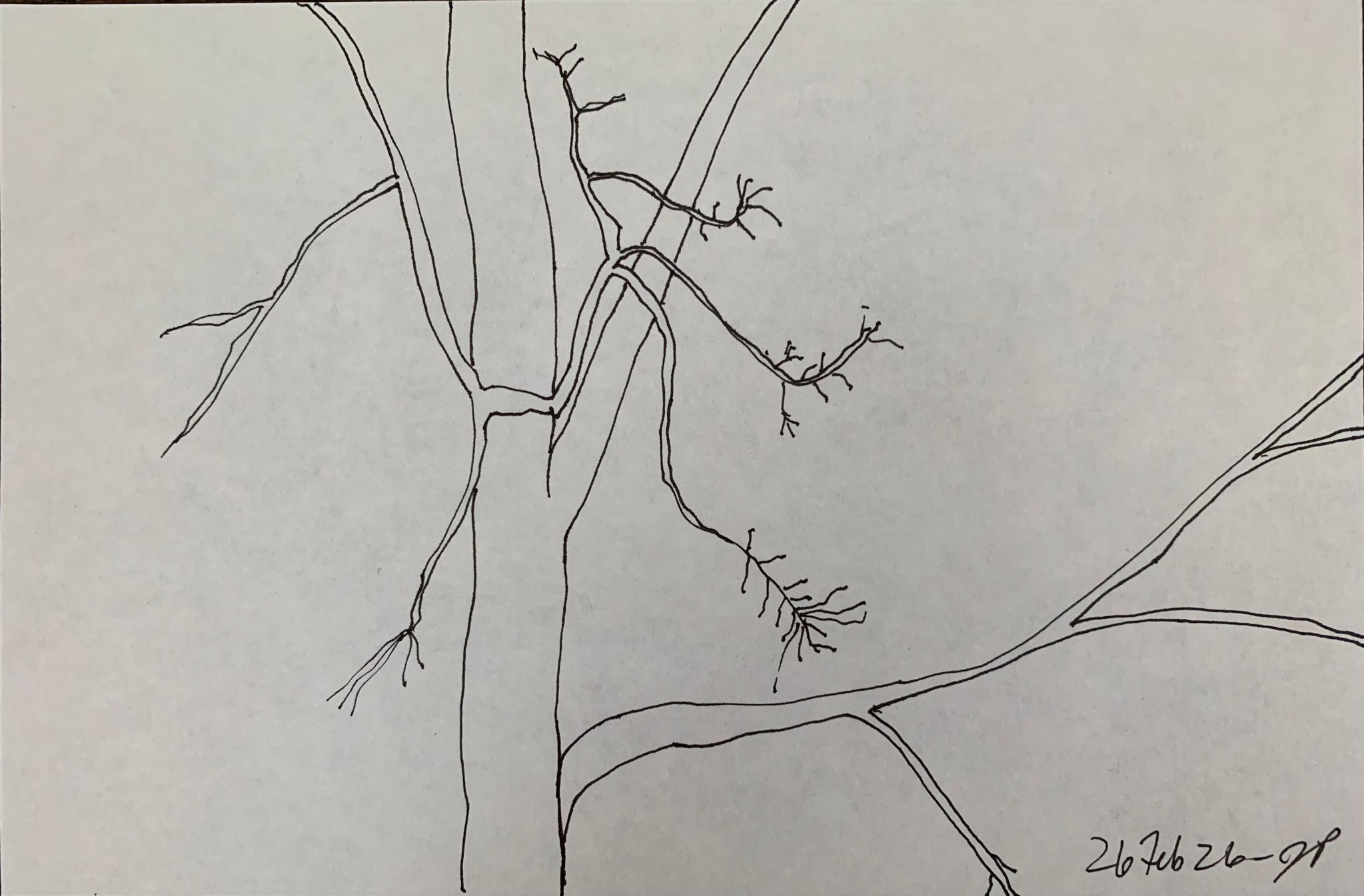 A5 landscape, ink on paper