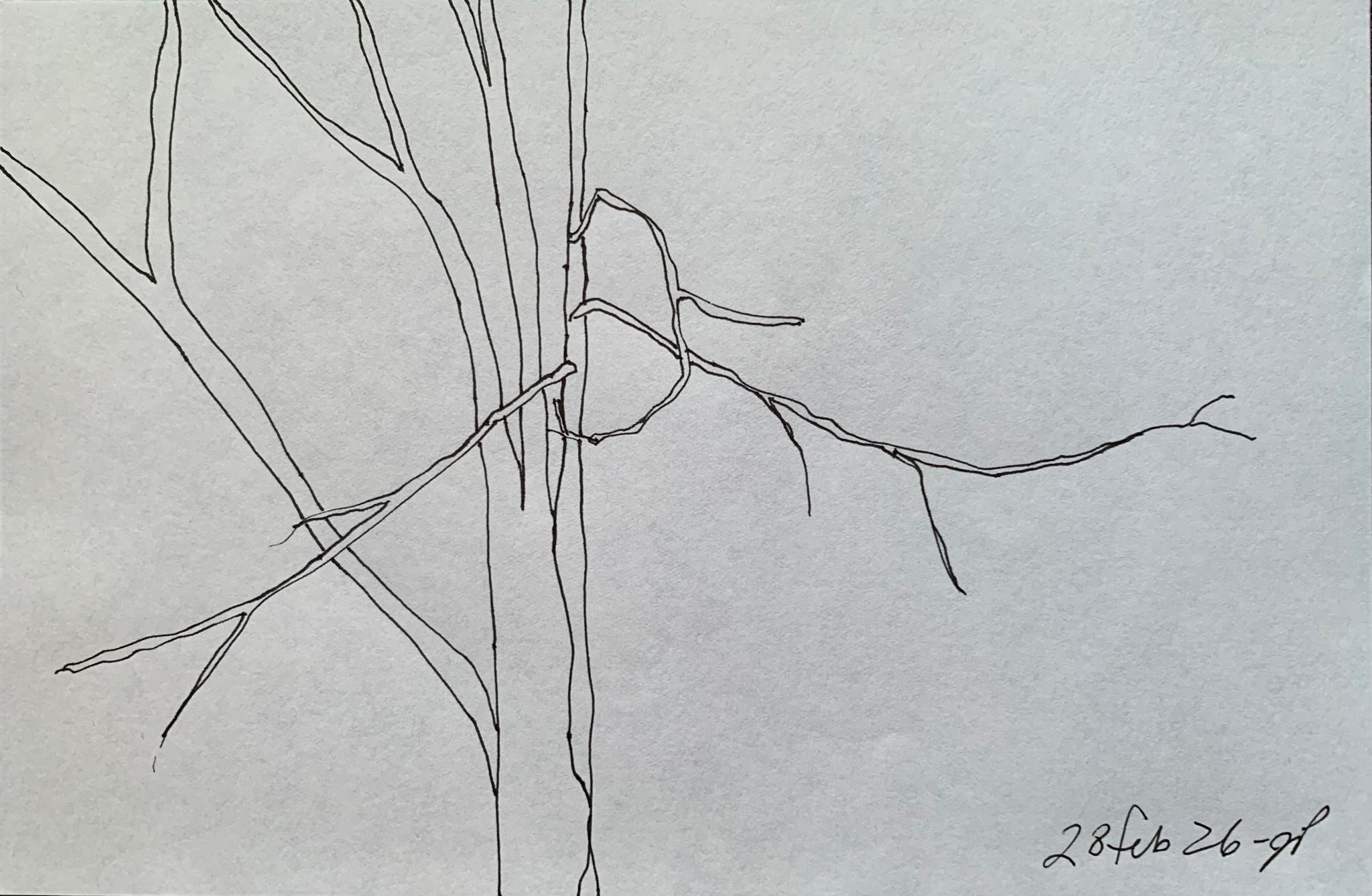 A5 landscape, ink on paper