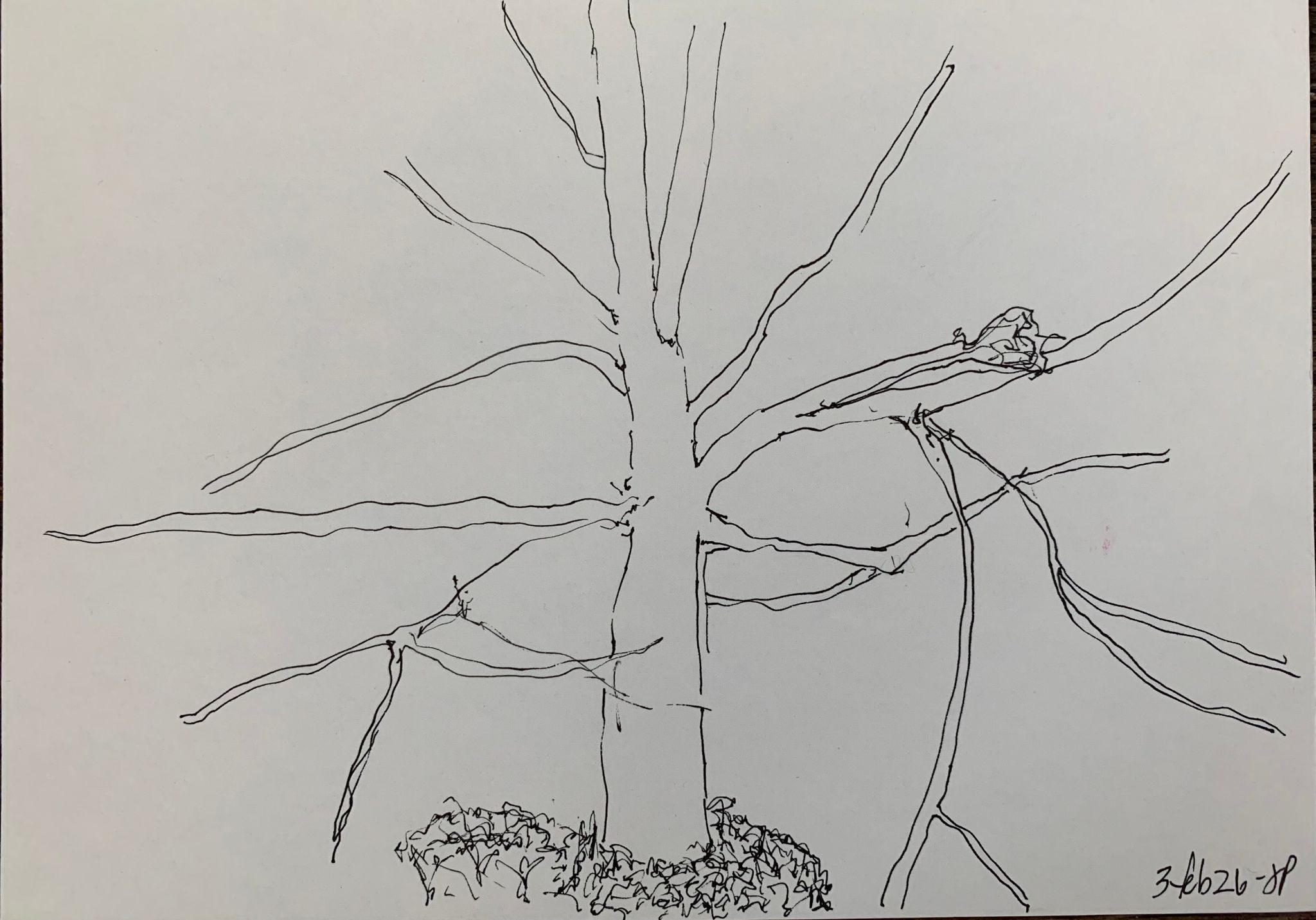 A5 landscape, ink on paper