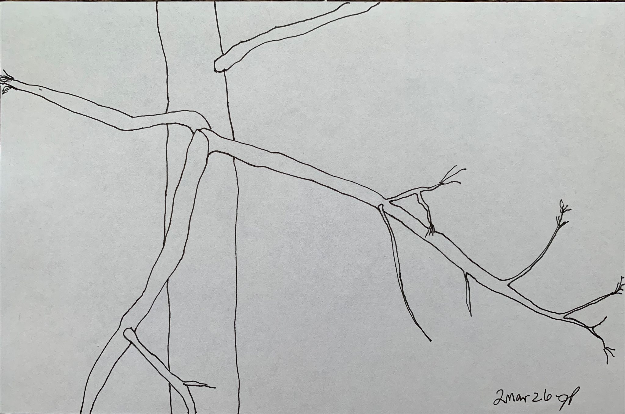 A5 landscape, ink on paper