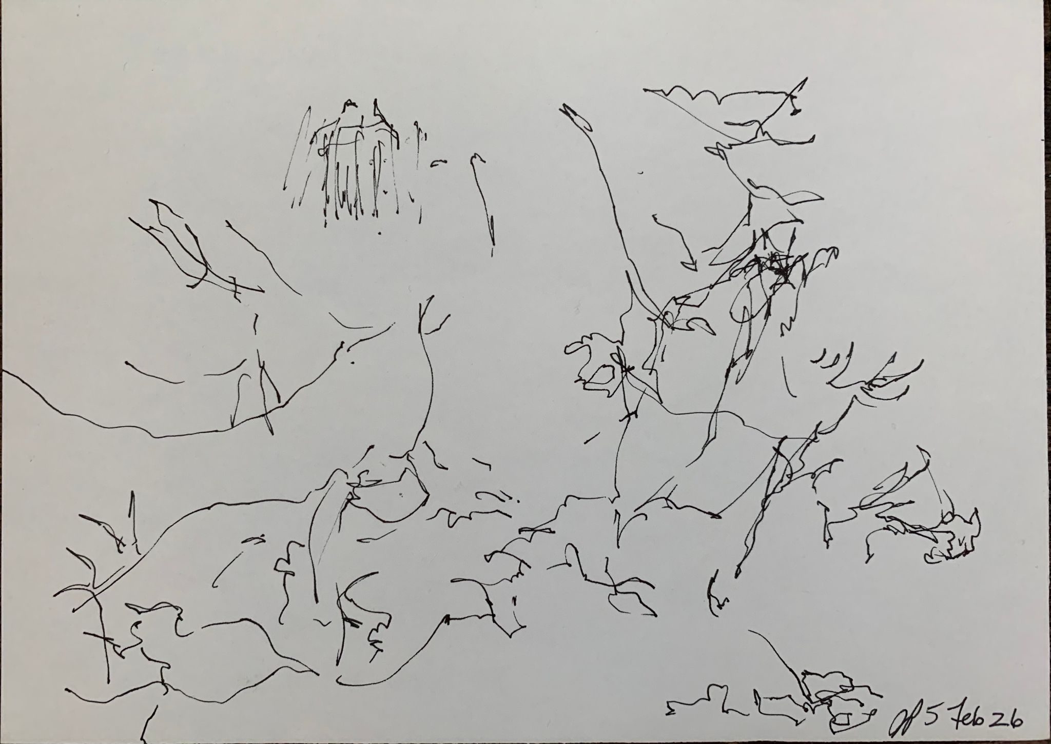 A5 landscape, ink on paper