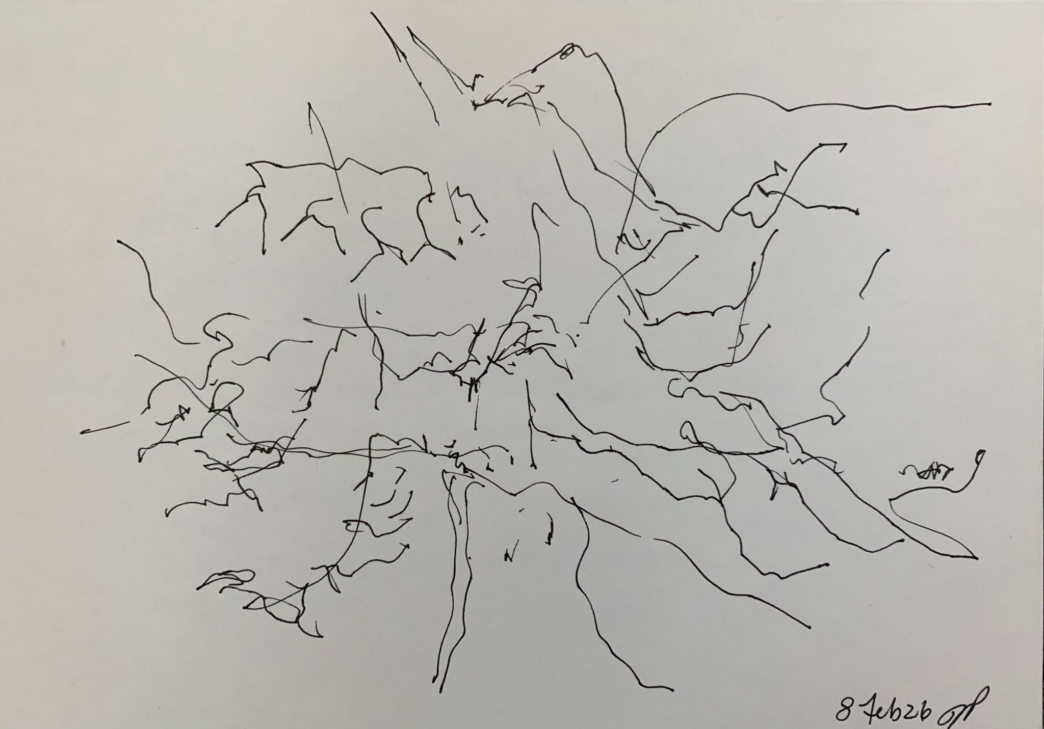 A5 landscape, ink on paper