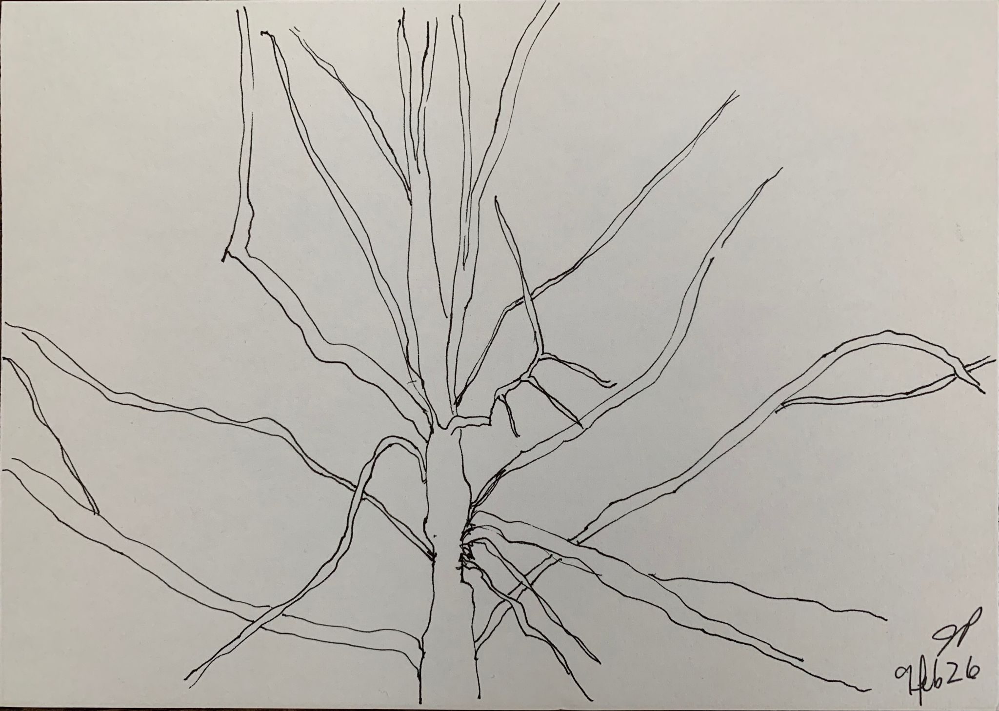 A5 landscape, ink on paper