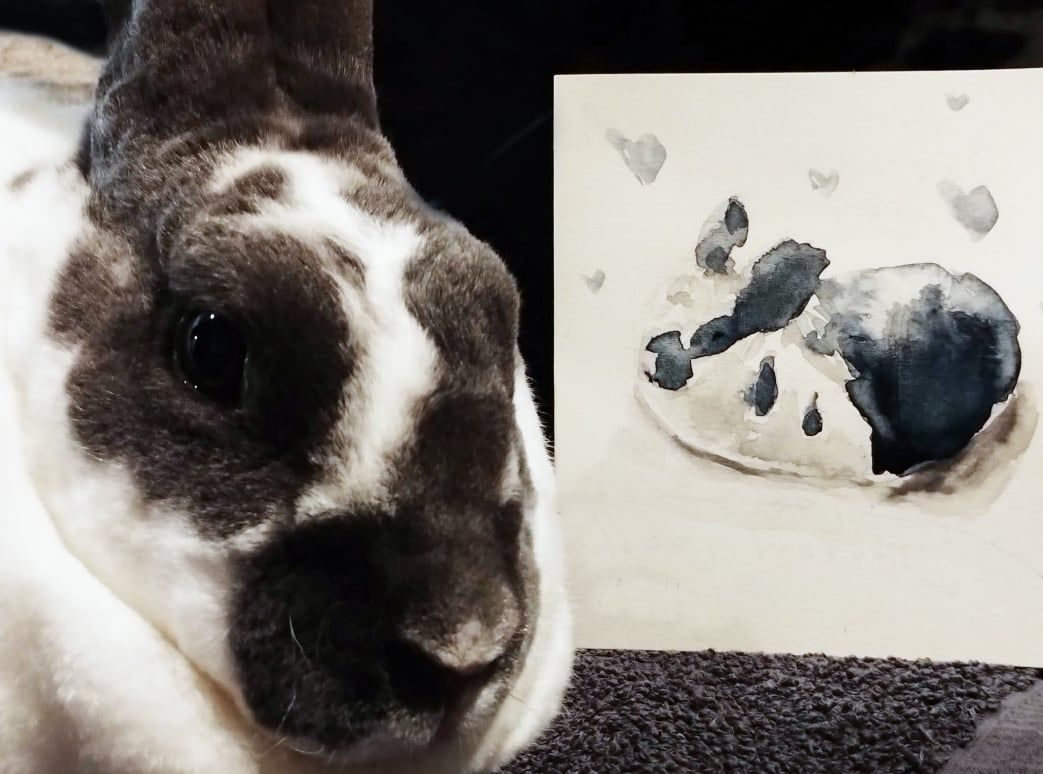 this is a photo of our pet rabbit, alongside a drawing of him done by my daughter