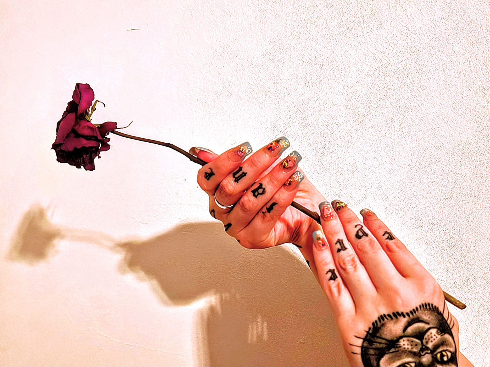 Photo of tattooed hands clasping a dried rose with a shadow below