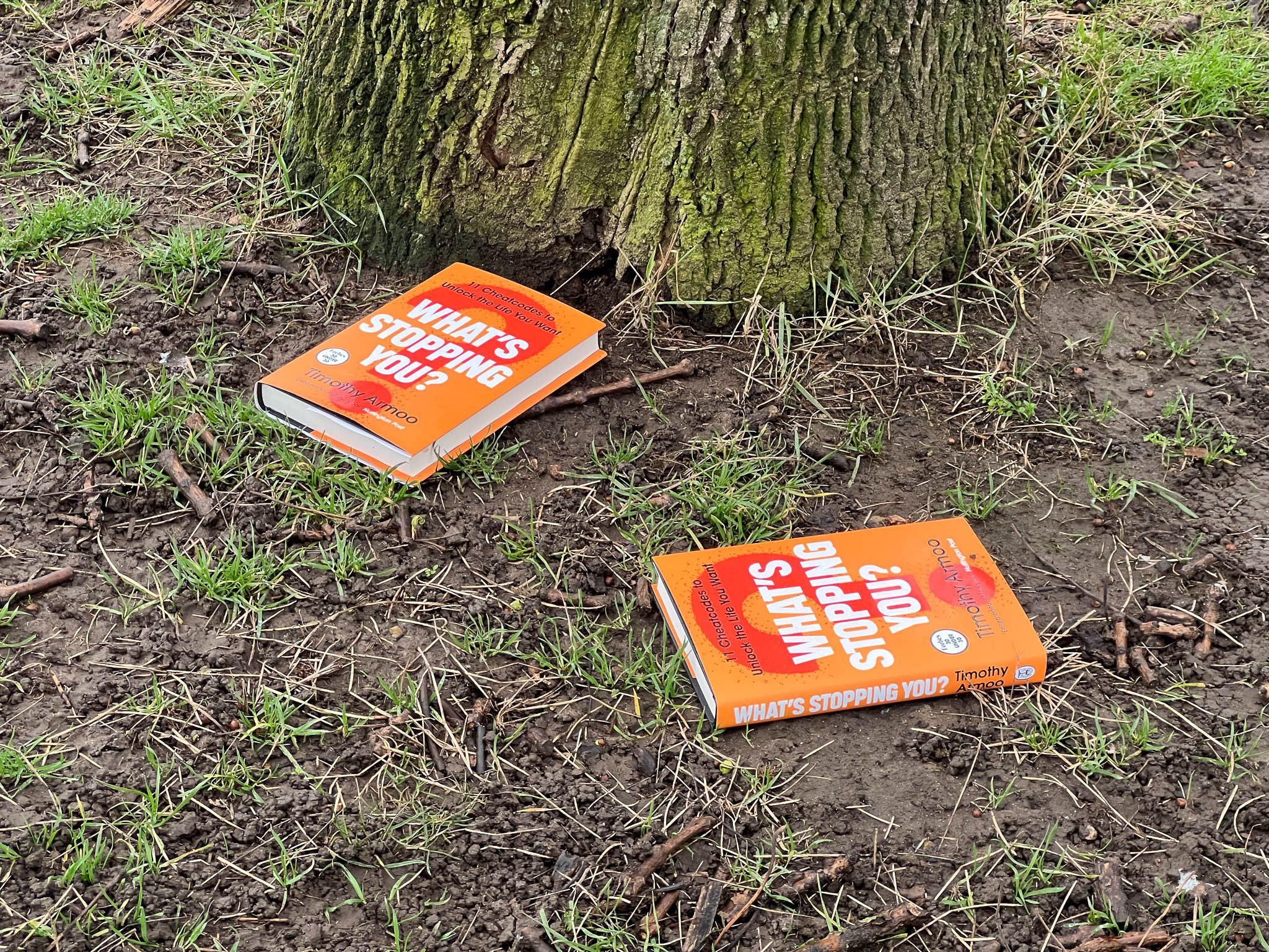 two orange books abandoned in the park at the foot of the tree read 'What's Stopping you?' as the title, each facing in a different direction, one toward the camera and the other away