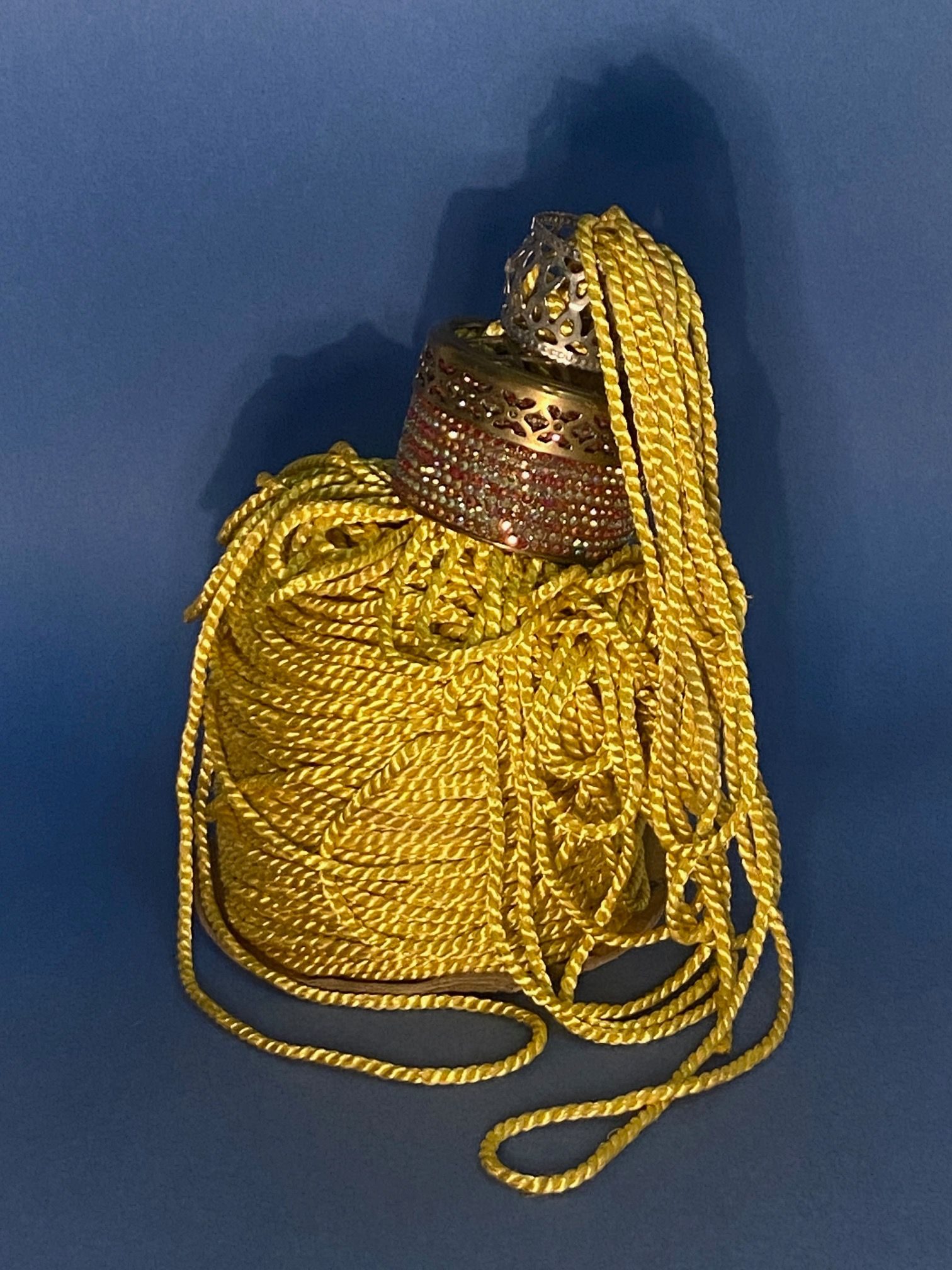 a luscious bolt of golden cord, topped with circular metal objects holding a golden pony tail