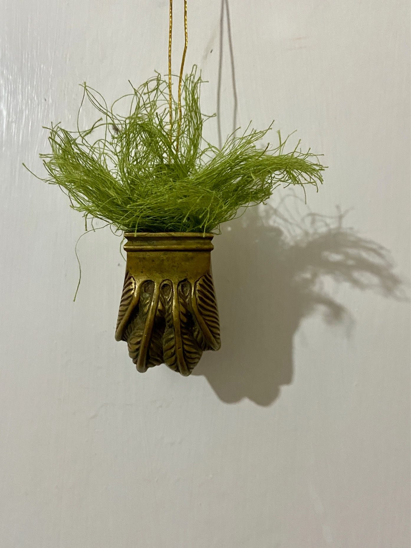 a brass lions' paw with green wool for hair hanging in space - the shadow of which shows the side of a lions face