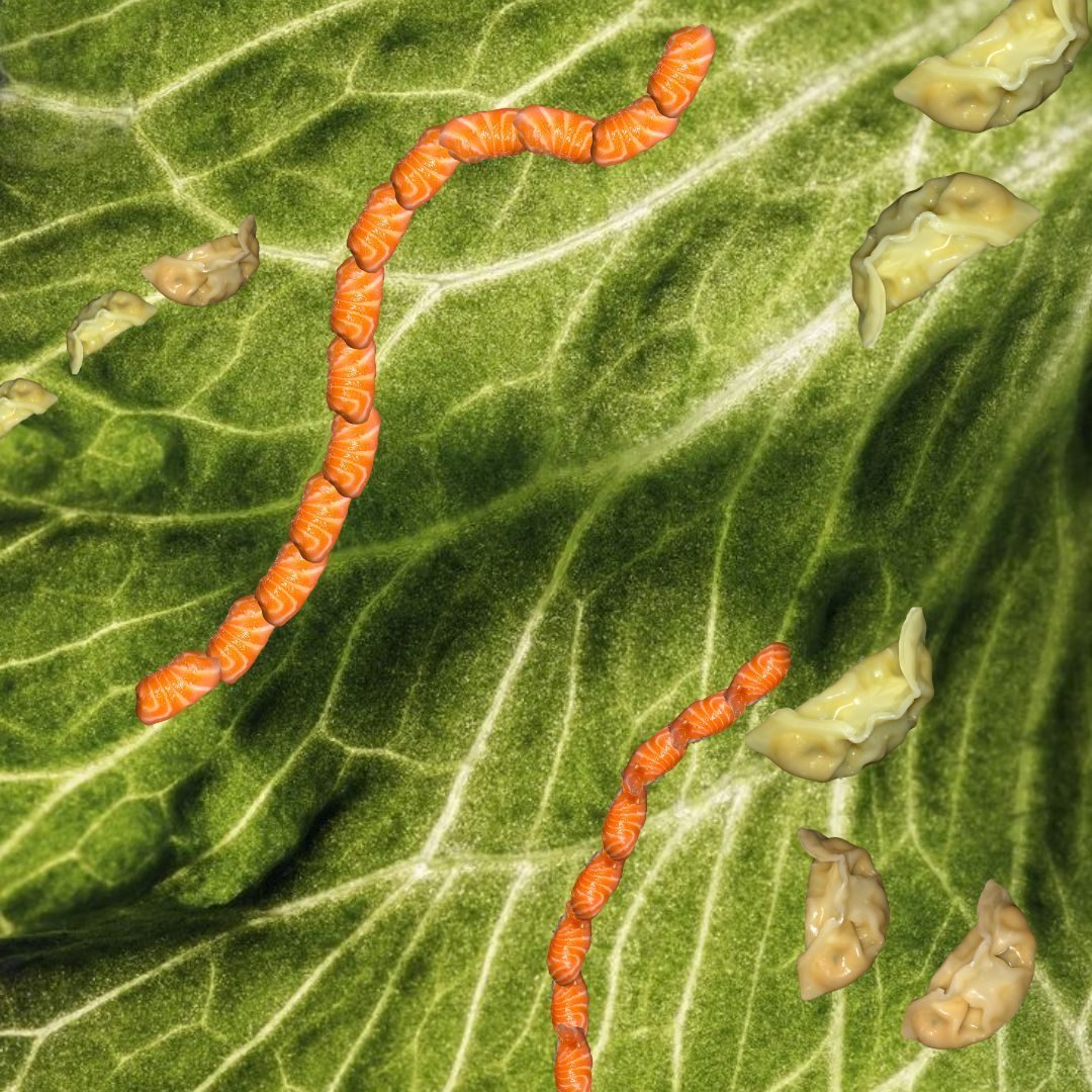 Close up photograph of a leaf (took off Pinterest, credit not mine) with sushi and gyoza-shaped insects