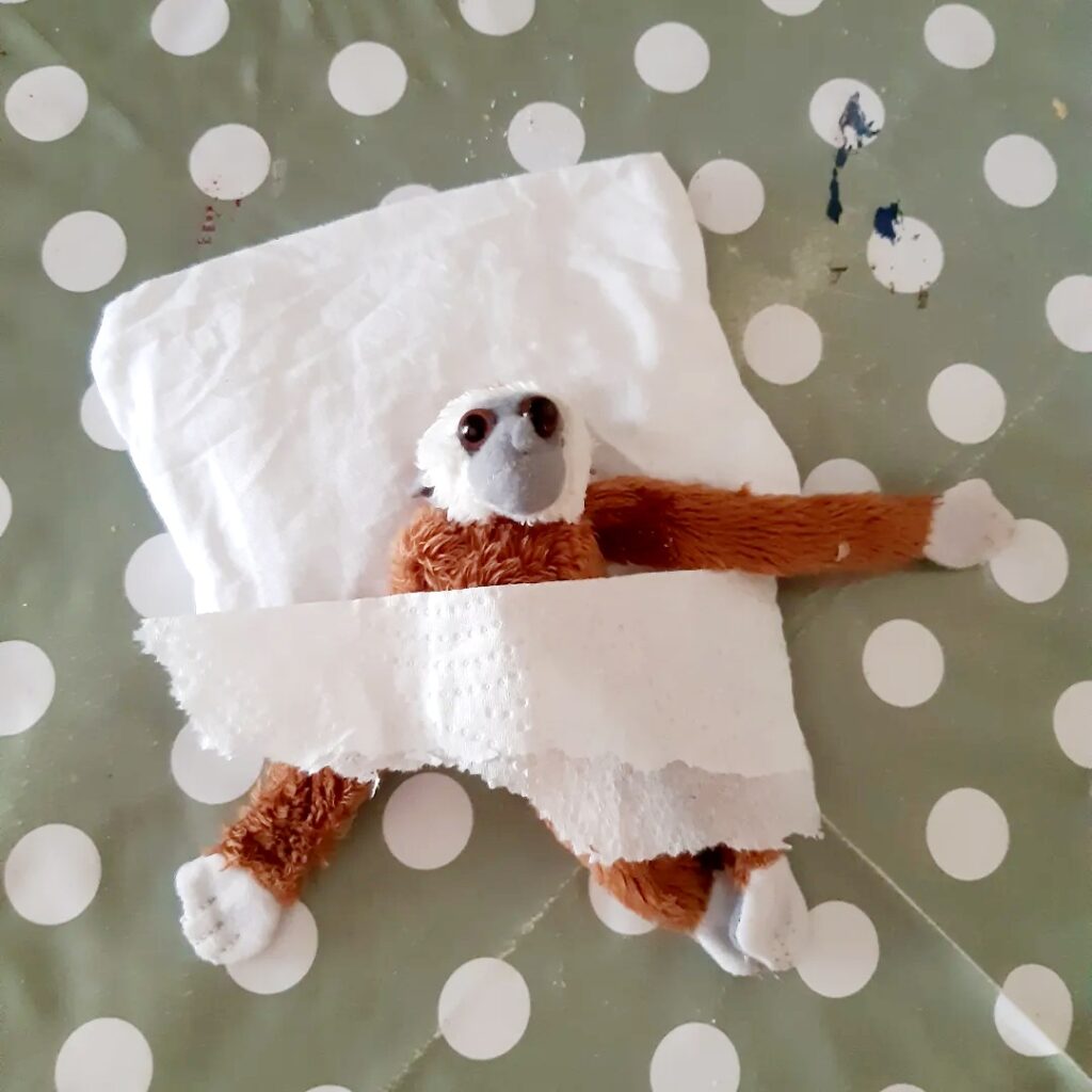Photograph of a soft teddy bear wrapped in toilet roll