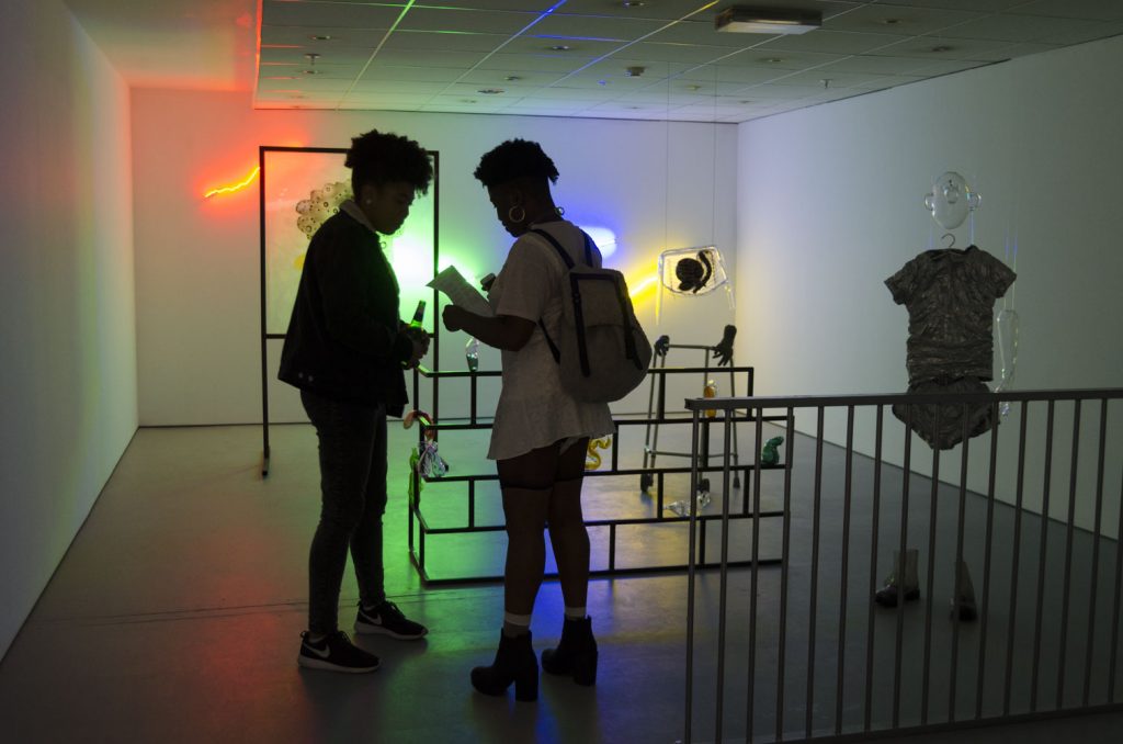 Saelia Arparicio, Peaks and Troughs, installation view