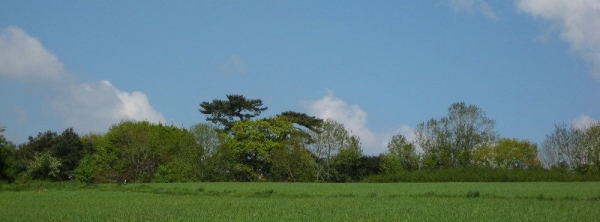 ClareBryden
